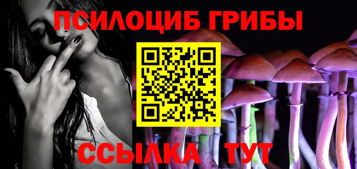 Псилоцибиновые грибы MAGIC MUSHROOMS Отрадный