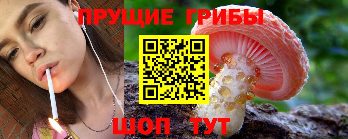 Псилоцибиновые грибы MAGIC MUSHROOMS  Псилоцибиновые грибы GOLDEN TEACHER  закладка  Вход с VPN  Отрадный 